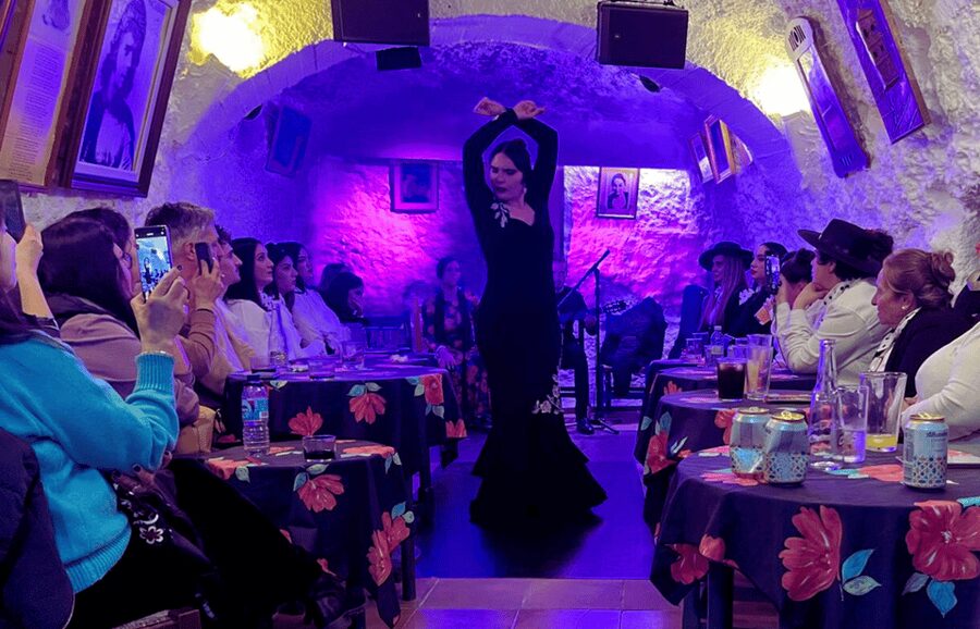 Granada: Flamenco Show in the Cave LA FARAONA - What happens from arrival to the final applause