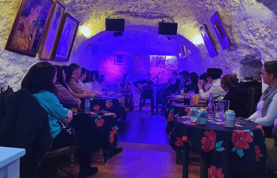 Granada: Flamenco Show in the Cave LA FARAONA - Is $23 a fair price?