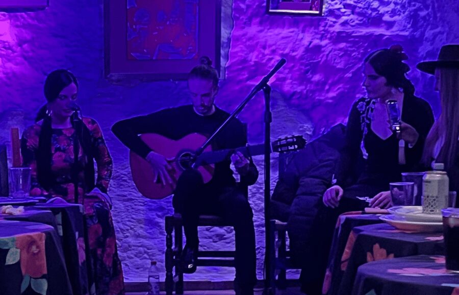 Granada: Flamenco Show in the Cave LA FARAONA - Should you book this flamenco show?