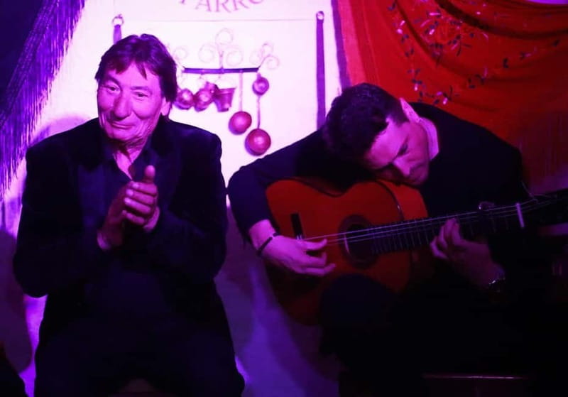 Granada: Flamenco Show Los Parrones in the Sacromonte Caves - What the one-hour program is like