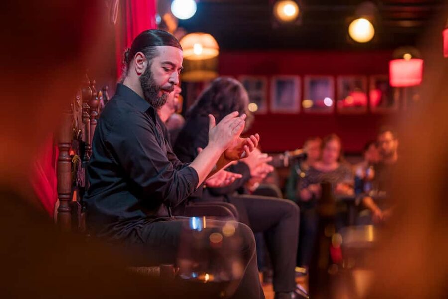 Granada: Flamenco Show with Dinner at Jardines de Zoraya - What happens during the one-hour show