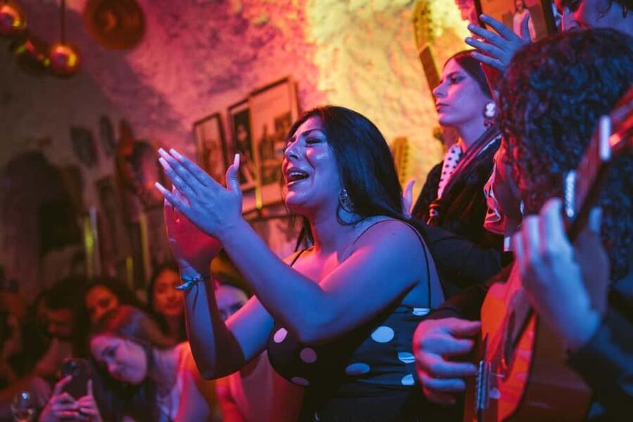 Granada: Los Amayas Cave Flamenco Show in Sacromonte - The Music, Dance, and Emotional Force