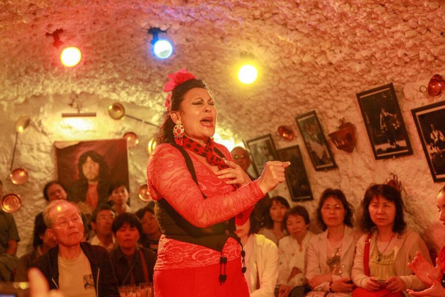 Granada: Sacromonte Caves Flamenco Show with Dinner - Who Should Book This Cave Flamenco Show?