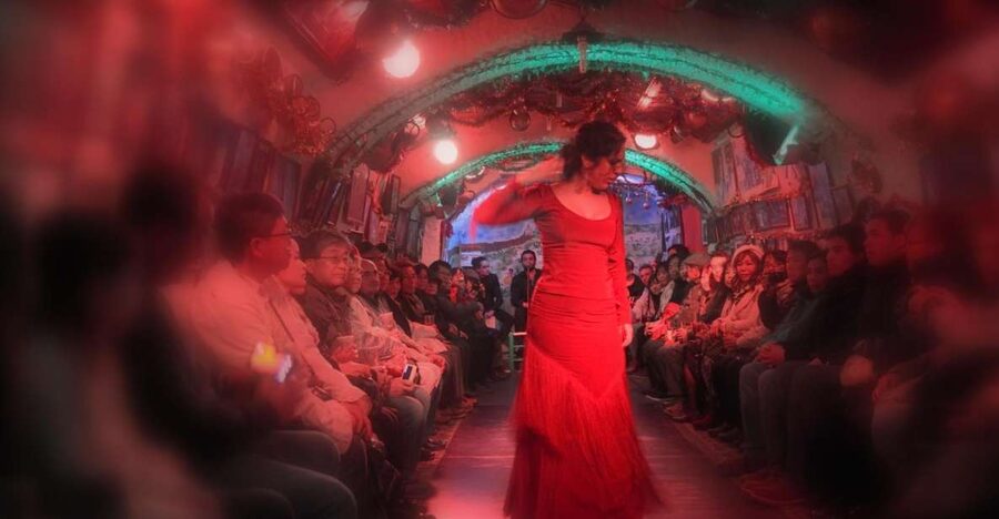 Granada: Sacromonte Caves Flamenco Show - What happens during the one-hour show