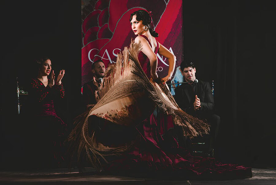 Granada: Traditional Flamenco Show at Tablao Casa Ana - The guitar, singer, and dancers share the stage