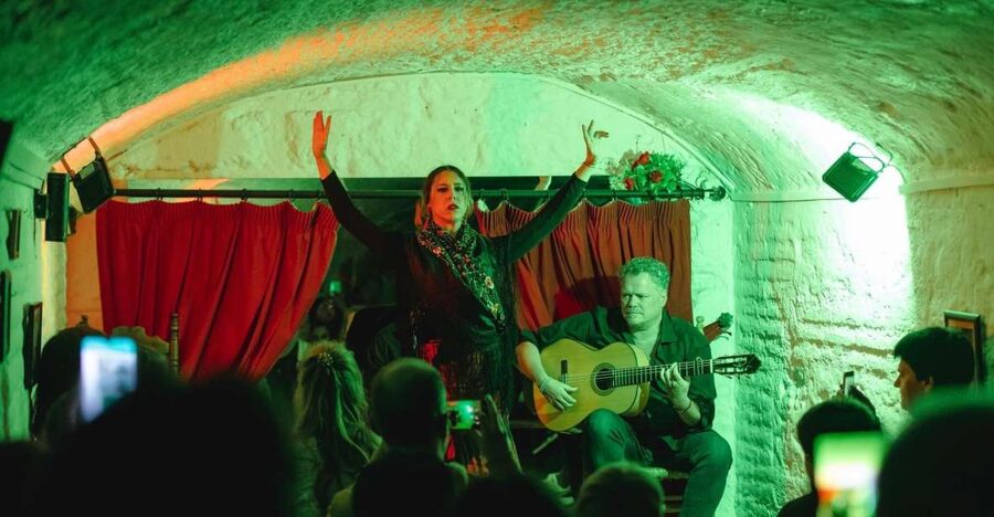 Granada: Traditional Flamenco Show in a Cave Entry Ticket - What happens during the one-hour show