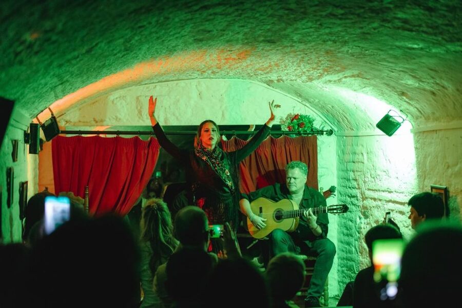 Granada: Traditional Flamenco Show in a Cave Entry Ticket - The performers are close enough to see the detail