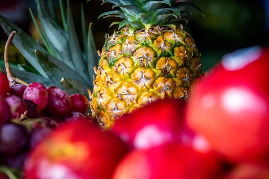 Higuey: Full-Day Tour with River Boat, Lunch, & Voodoo Show - Tropical fruit, coffee, and cocoa at the plantation