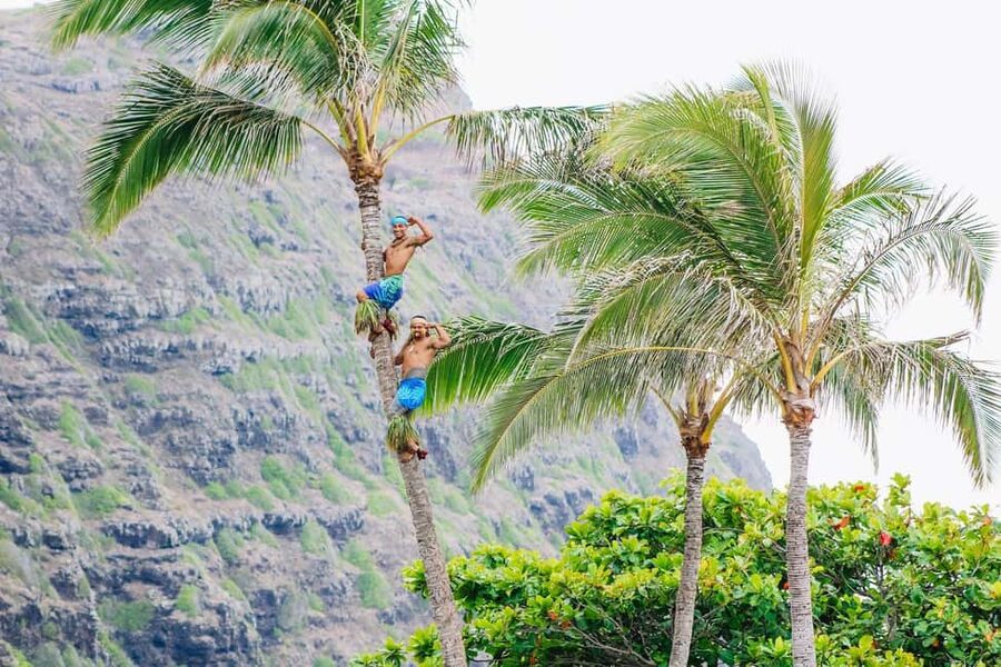 Honolulu: Ka Moana Luau Dinner and Show with Transportation - A farm-to-table buffet with a local focus