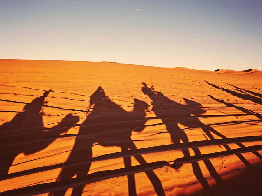 Hurghada: 6-Hour Jeep Desert Safari, Dinner, and Show - Key things to know before booking