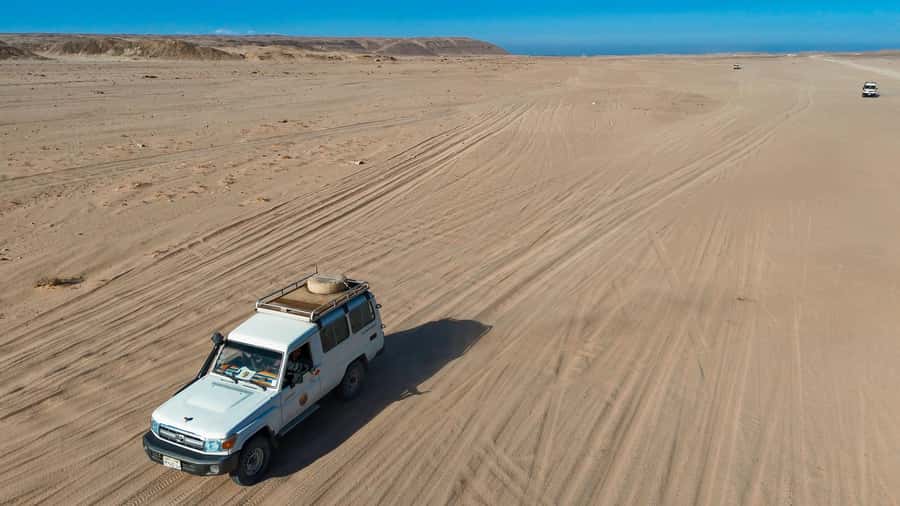 Hurghada: Jeep Safari with Camel Ride, Dinner and Show - The herbal pharmacy and its natural remedies