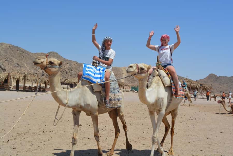 Hurghada: Jeep Safari with Camel Ride, Dinner and Show - What $36 covers, and who gets the best value