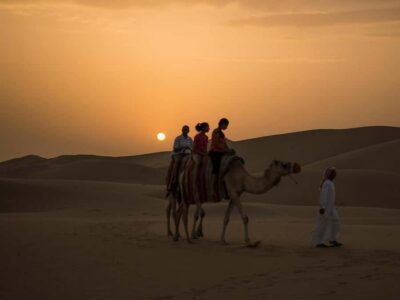 Quad Bike, Camel, Show, Dinner, & Stargazing Trip