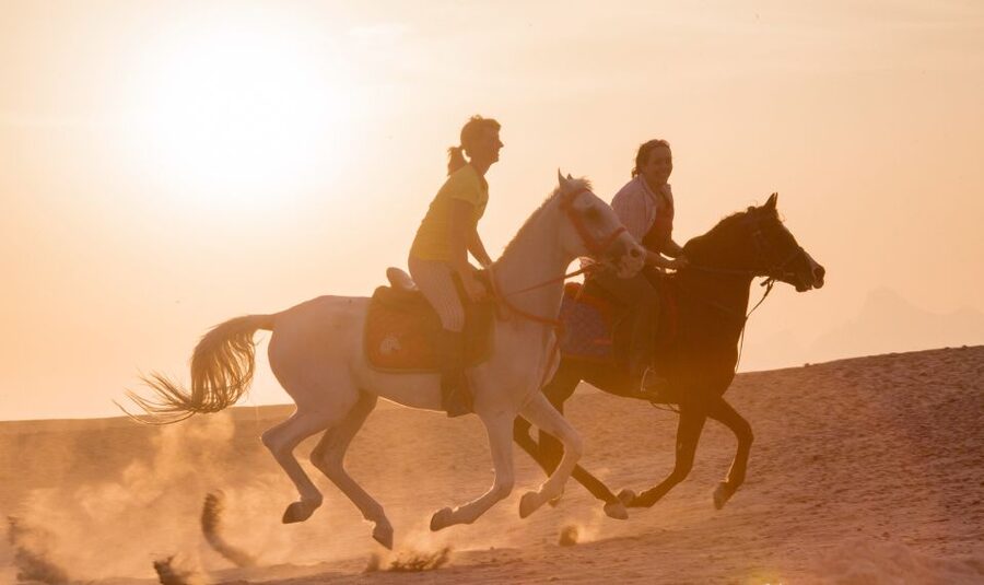 Hurghada: Quad Bike Safari, Camel Horse Ride, Dinner & Shows - Stargazing with an astronomer