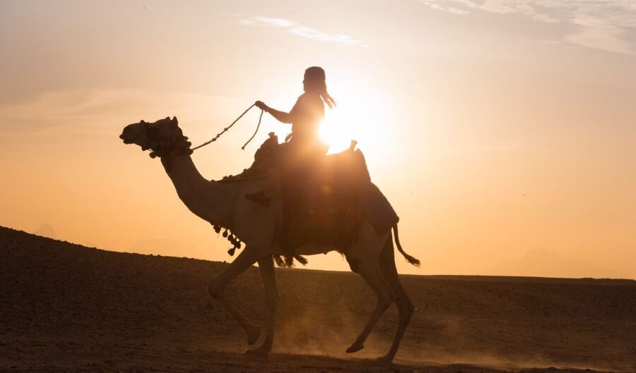 Hurghada: Quad Bike Safari, Camel Horse Ride, Dinner & Shows - What $65 really gets you