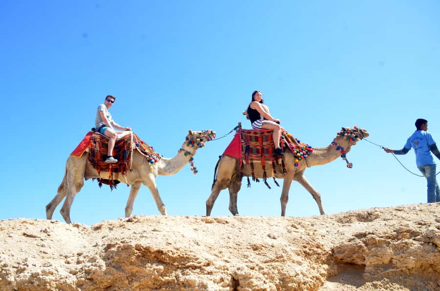Hurghada: Sea & Desert Camel Ride w/Dinner, Show, Stargazing - Key points before you book
