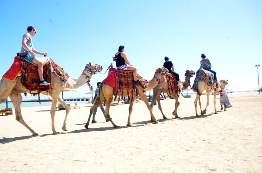 Hurghada: Sea & Desert Camel Ride w/Dinner, Show, Stargazing - Who will enjoy this Hurghada outing