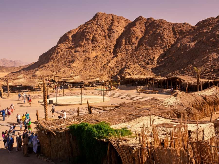 Hurghada: Sea & Desert Camel Ride w/Dinner, Show, Stargazing - From Hurghada hotels to the camel base