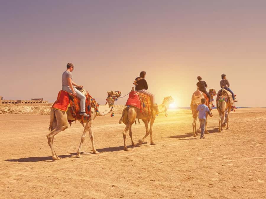 Hurghada: Sea & Desert Camel Ride w/Dinner, Show, Stargazing - Crossing the desert toward the Red Sea