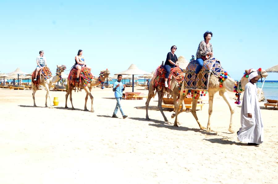 Hurghada: Sea & Desert Camel Ride w/Dinner, Show, Stargazing - The beach and lagoon views