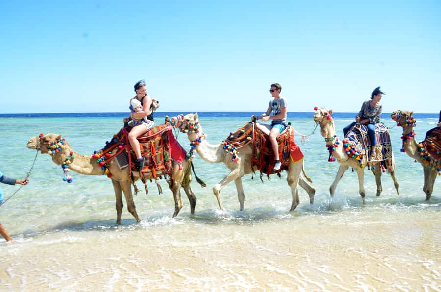 Hurghada: Sea & Desert Camel Ride w/Dinner, Show, Stargazing - What two hours on a camel feels like