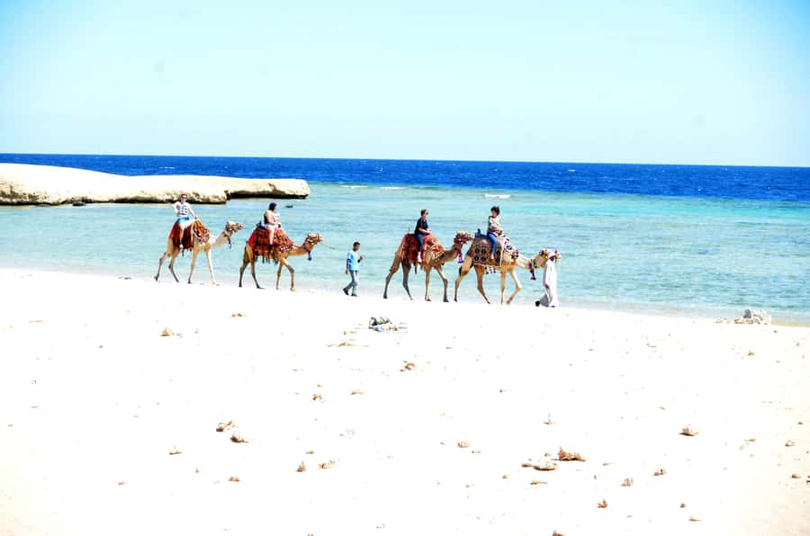 Hurghada: Sea & Desert Camel Ride w/Dinner, Show, Stargazing - The sunrise option and breakfast
