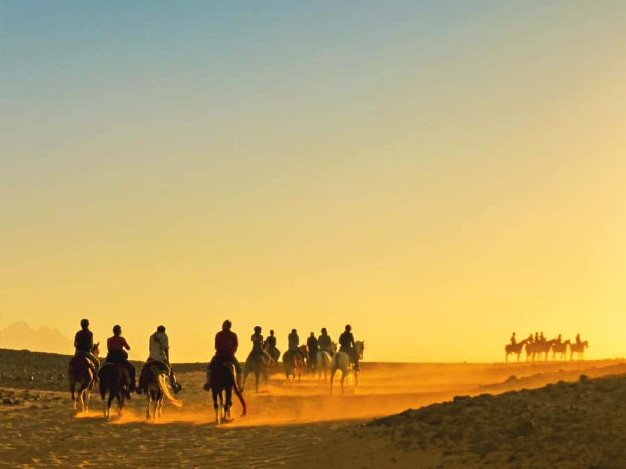 Hurghada: Sea & Desert Horse Tour, Stargazing, Dinner & Show - Why the desert-to-sea route works so well