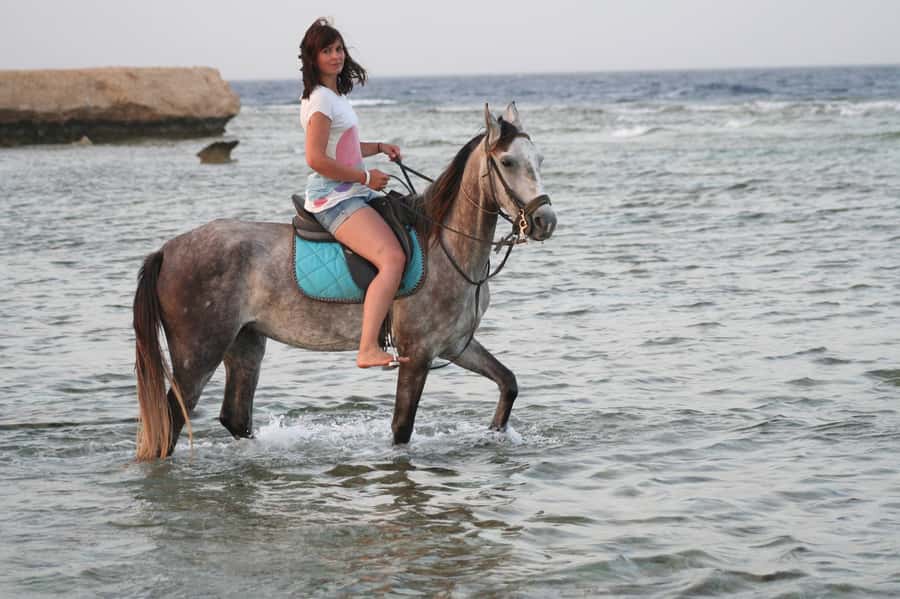 Hurghada: Sea & Desert Horse Tour, Stargazing, Dinner & Show - What happens when you arrive at the base