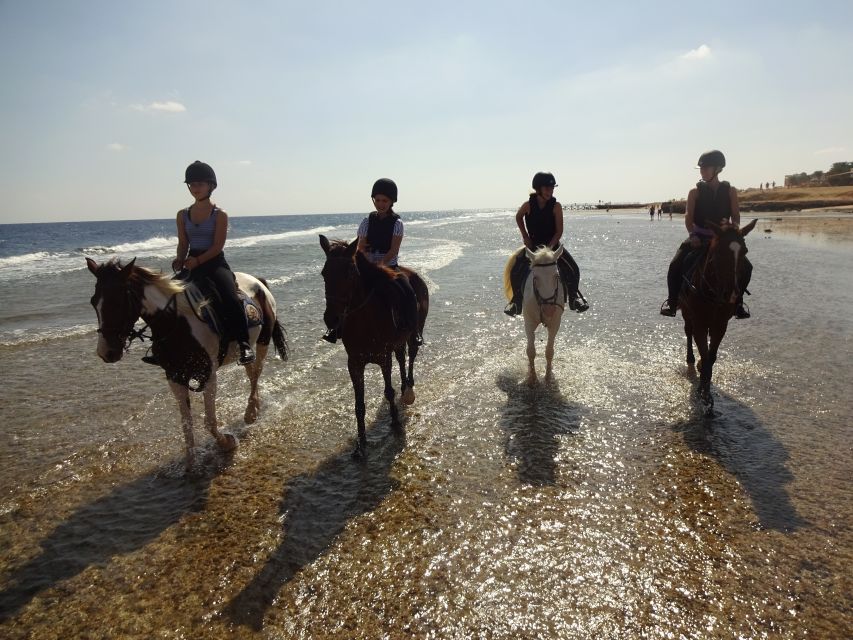 Hurghada: Sea & Desert Horse Tour, Stargazing, Dinner & Show - Dinner, dancing, and the Egyptian touch