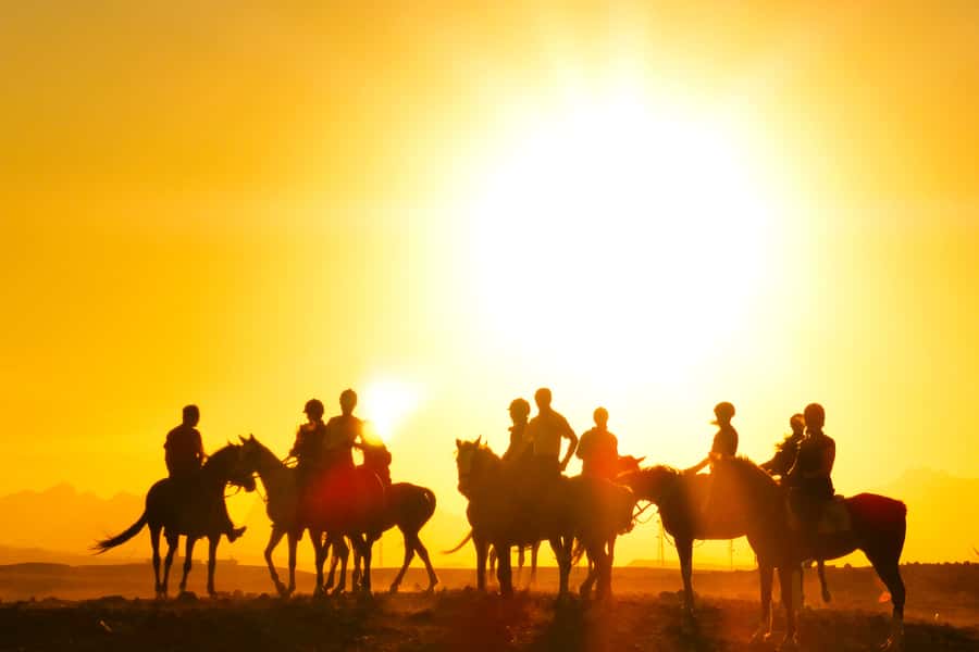 Hurghada: Sea & Desert Horse Tour, Stargazing, Dinner & Show - Price and value at about $20