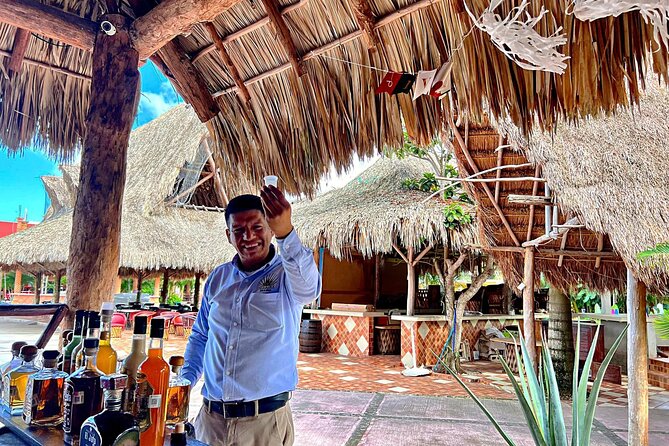 Island Tour in Cozumel, Mayan Show & Tacos - A quick island sampler with a clear focus