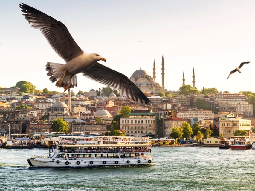 Istanbul: Bosphorus Dinner Cruise with Private Table & Show - Price, timing, and overall value