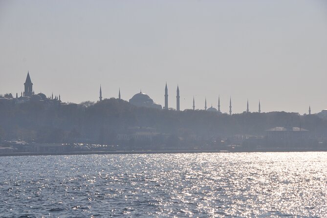 Istanbul: Bosphorus Tour With Whirling Dervish Show - Maiden’s Tower at the southern entrance