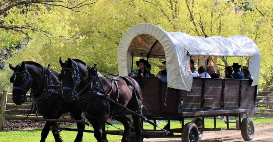 Jackson: Chuck Wagon Cookout and Live Show - Dinner at camp: hearty food, fast service, and second helpings