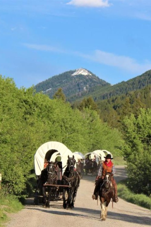 Jackson: Chuck Wagon Cookout and Live Show - What the $70 price gets you