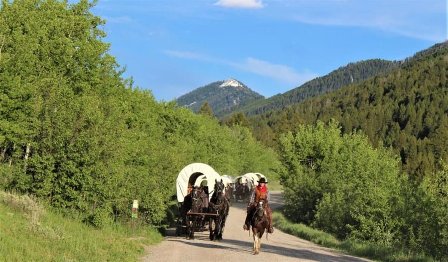 Jackson: Chuck Wagon Cookout and Live Show - Who will enjoy this Jackson evening most