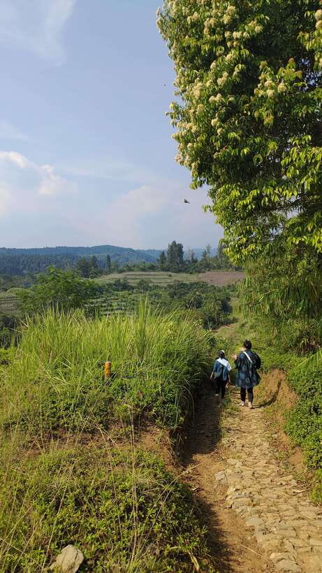 Jakarta to Bogor: Luhur Waterfall and Lake Lido Day Trip - Why Curug Luhur is worth the trip from Jakarta