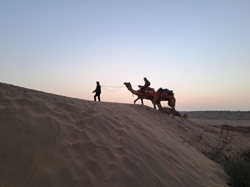 Jeep & Camel Ride, Musical Evening in The Desert Luxury Camp - Desert National Park and the open road