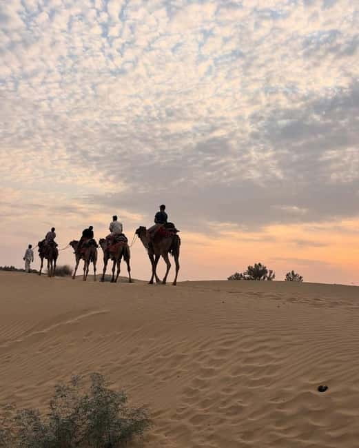 Jeep & Camel Ride, Musical Evening in The Desert Luxury Camp - The camel ride toward sunset