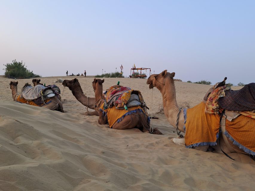 Jeep & Camel Ride, Musical Evening in The Desert Luxury Camp - Chai, snacks, and a Rajasthani dinner