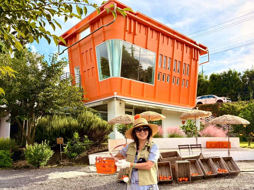 Jeju East: Small Group Healing Tour w/Woman Divers Show - Why this eastern Jeju day works so well