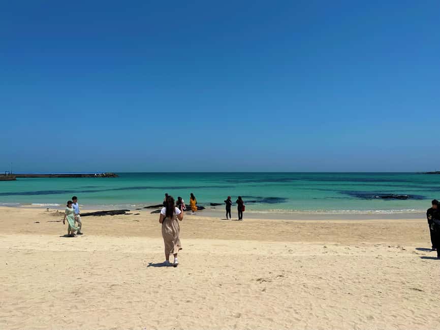 Jeju East: Small Group Healing Tour w/Woman Divers Show - Bijarim Forest gives you a slower hour and a half