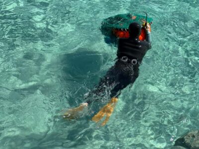 Jeju East: Small Group Healing Tour w/Woman Divers Show