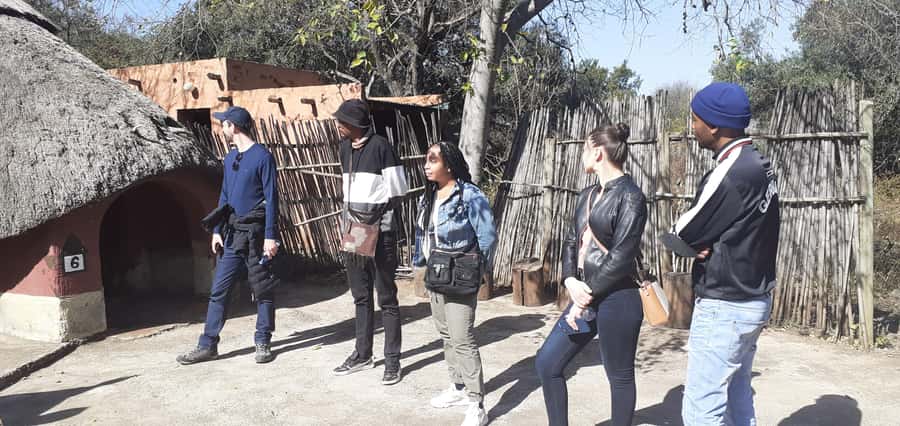 Johannesburg: Lesedi Cultural Village Show with Pickup - Music and dance bring the afternoon to life
