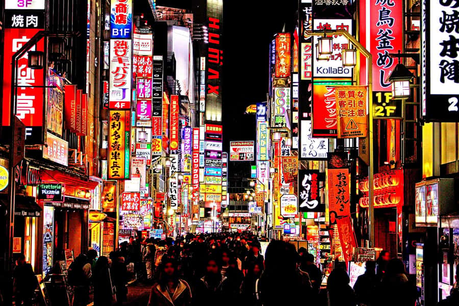 Kabukicho bar hopping & grab a bite tour - Key points to know before booking