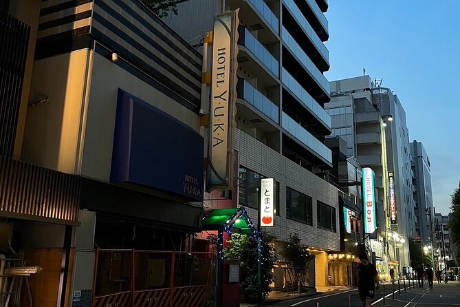 Kabukicho Macabre Tour - the Real Tokyo Vice - Key points to know before you book