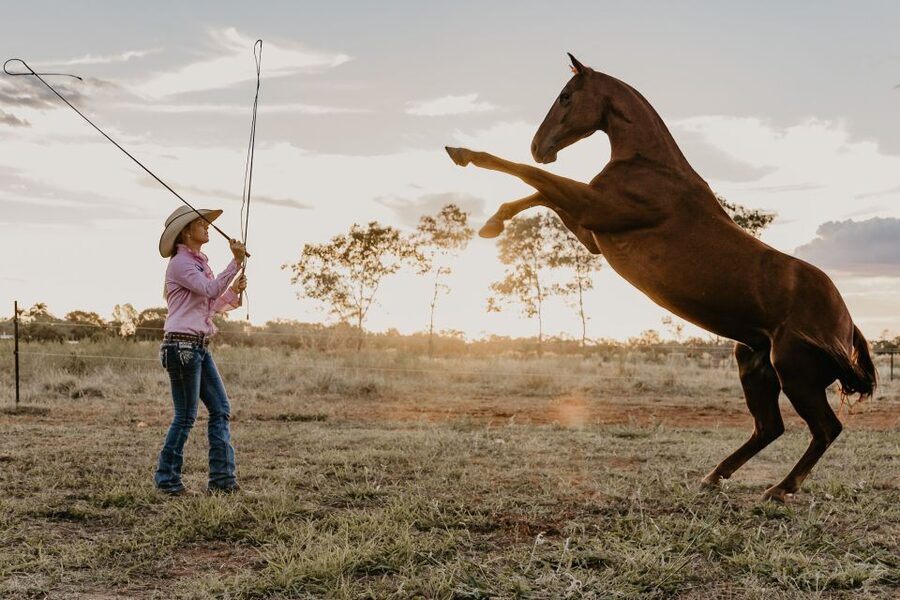 Katherine: Authentic Outback Show and Live Music - A shaded arena makes the two hours easier
