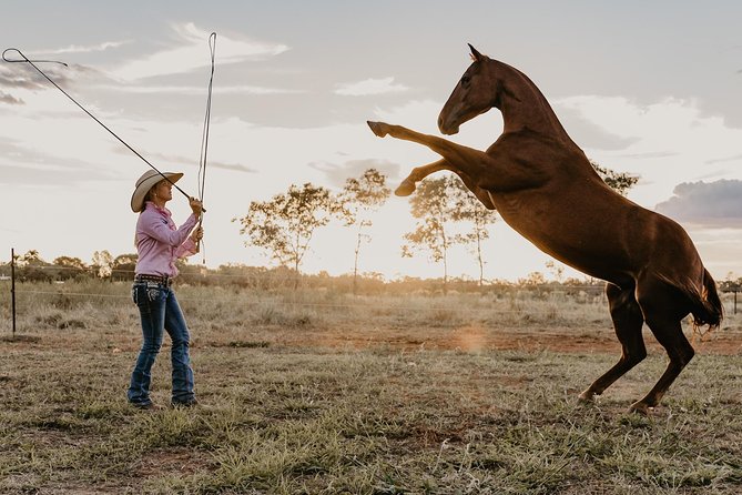 Katherine Outback Experience Show Ticket - Key things to know before you go
