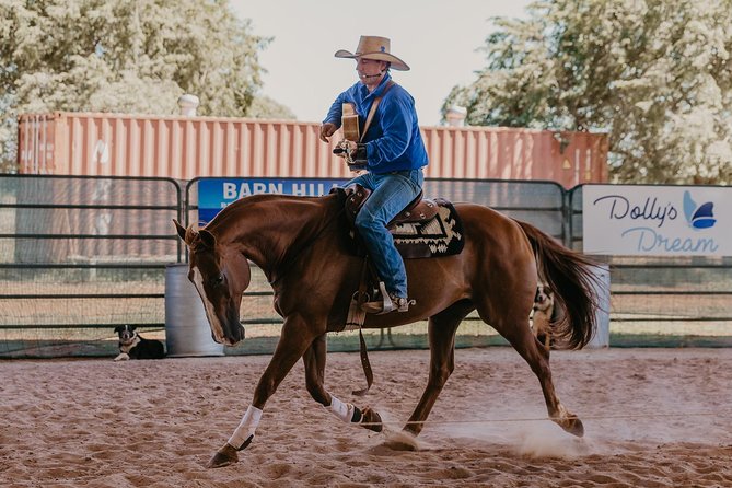 Katherine Outback Experience Show Ticket - Why the horse-starting demonstration matters