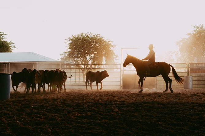 Katherine Outback Experience Show Ticket - Tom Curtain’s music gives the show its voice
